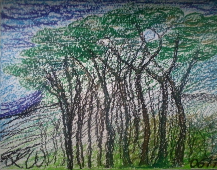 Wald.