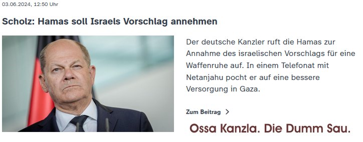 Die Dumm Sau! Uunsa Kanzla!